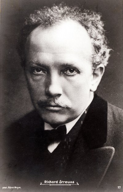 Richard Strauss by Albert Meyer